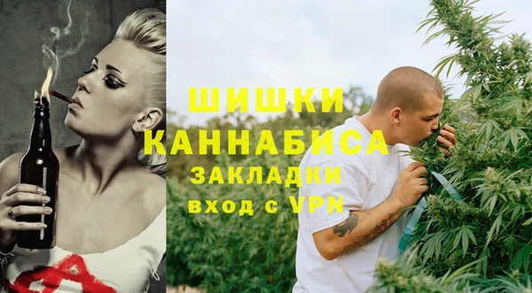 сатива Пересвет